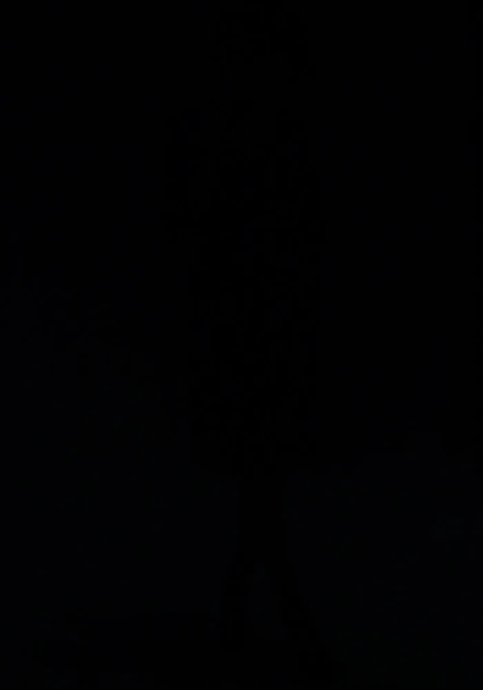 Jacinta Black Dress