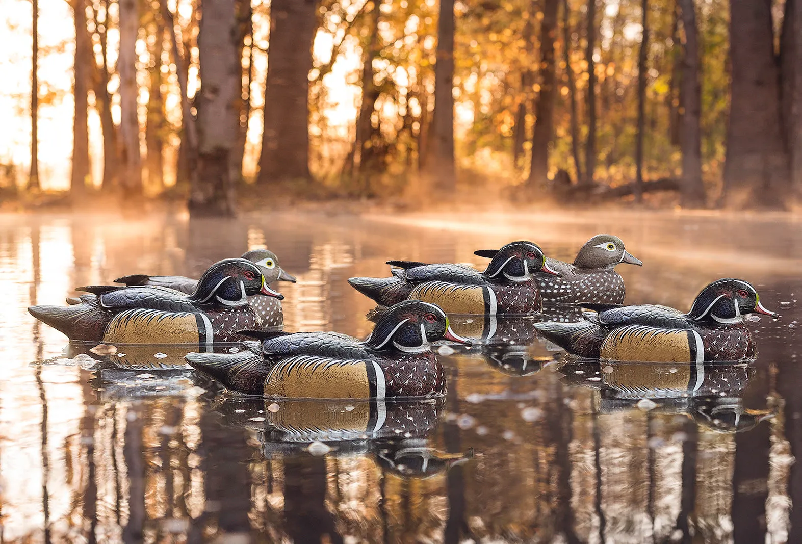 Pro Series Wood Duck